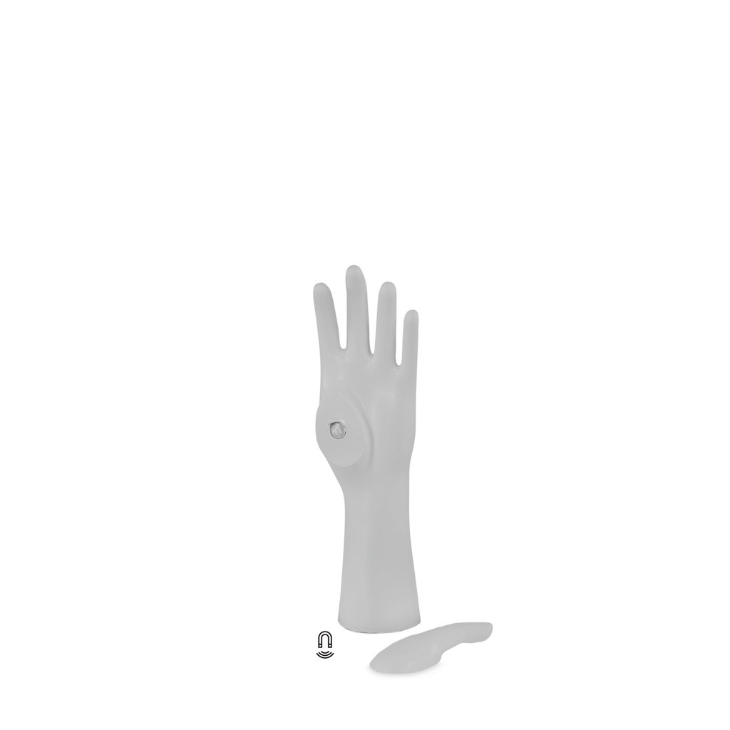 TOPSP165_GR3_04.jpg