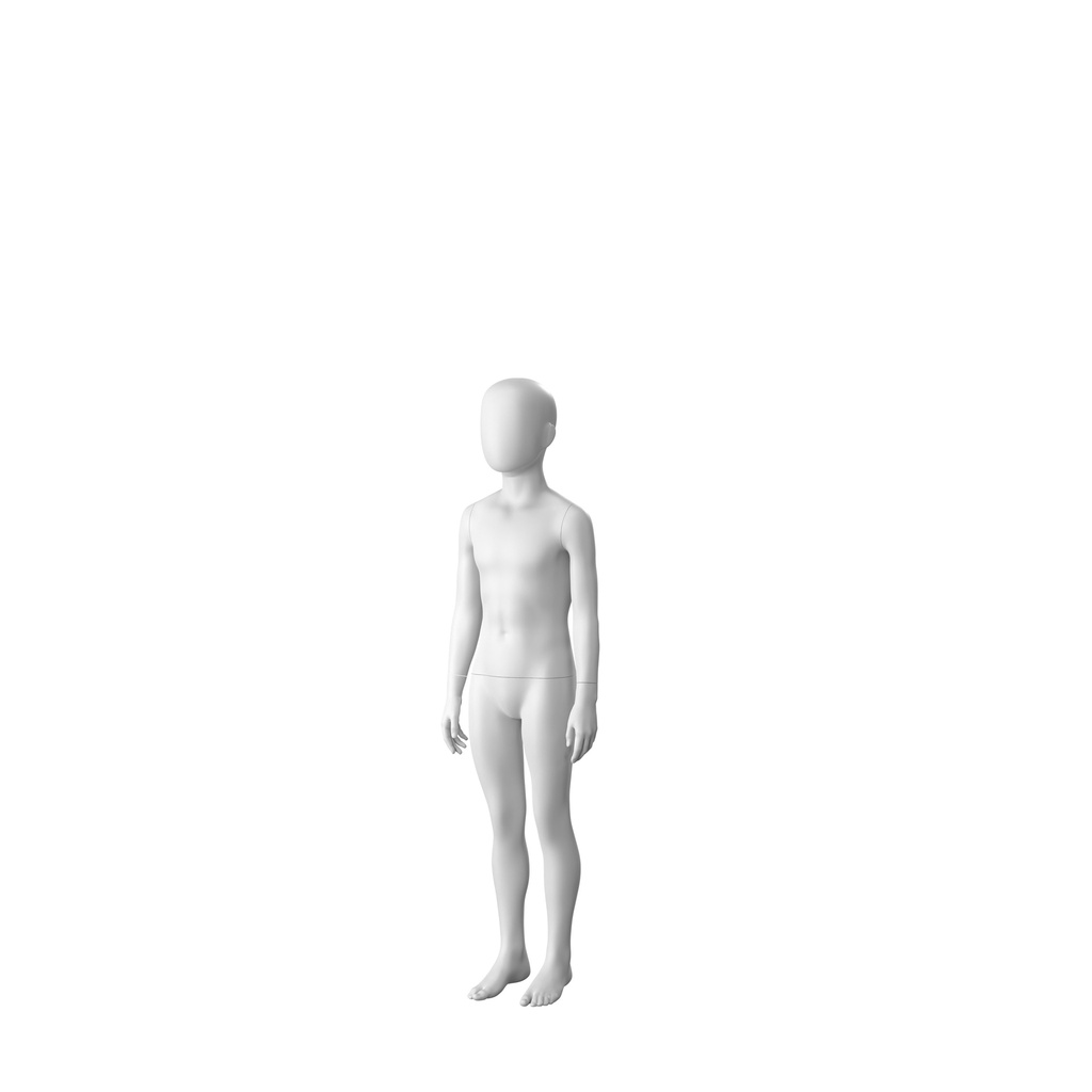 SINCM308_WH