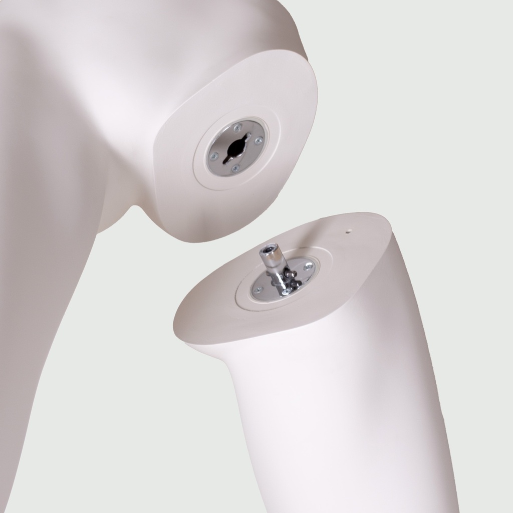 BECF005H087_BGR1_leg