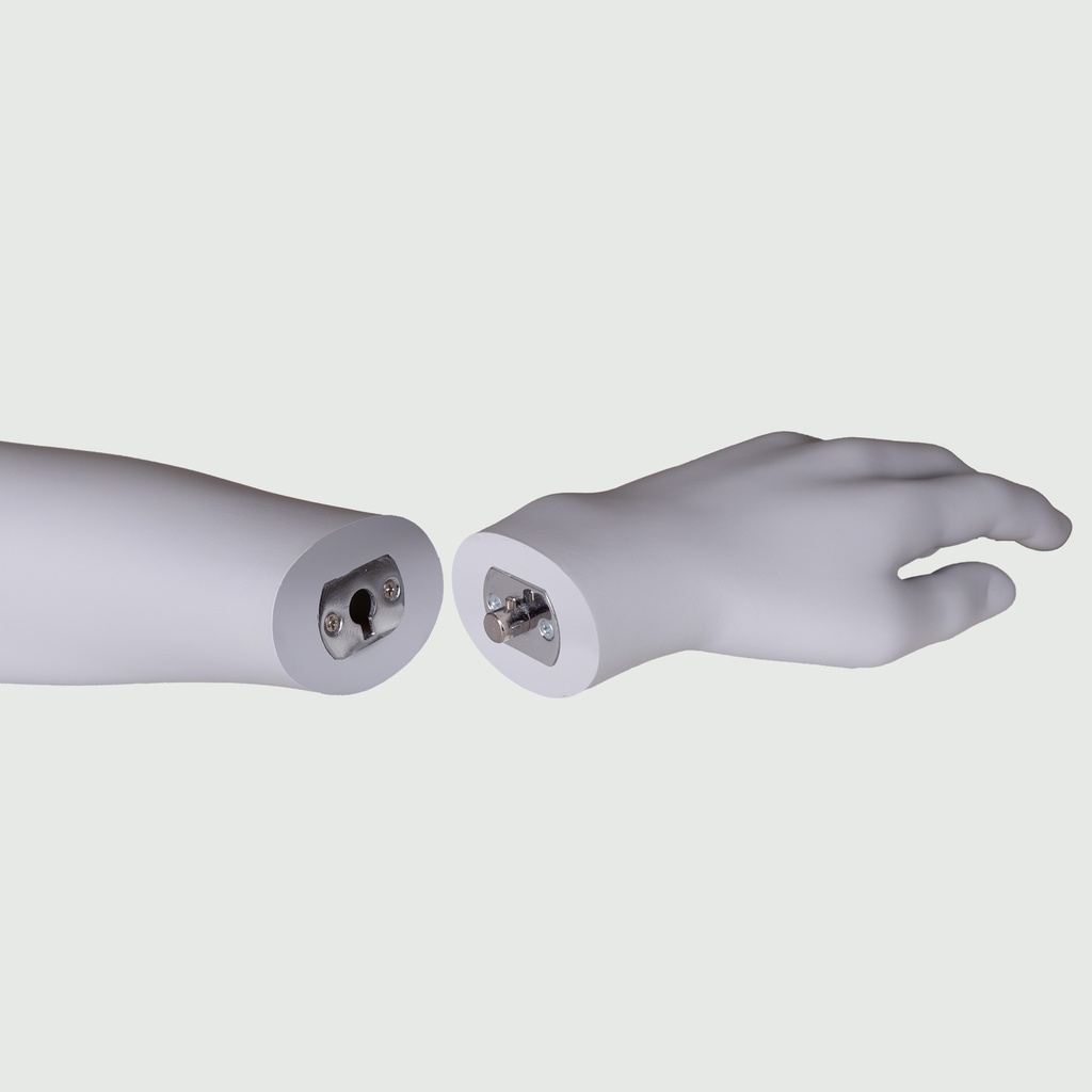 BOHM102H423_GR3_hand