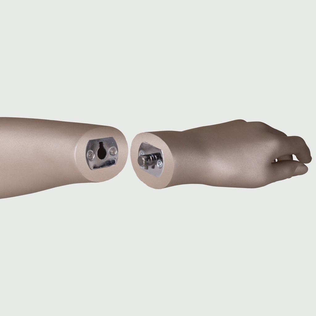 SECRF02CH084_10364_hand