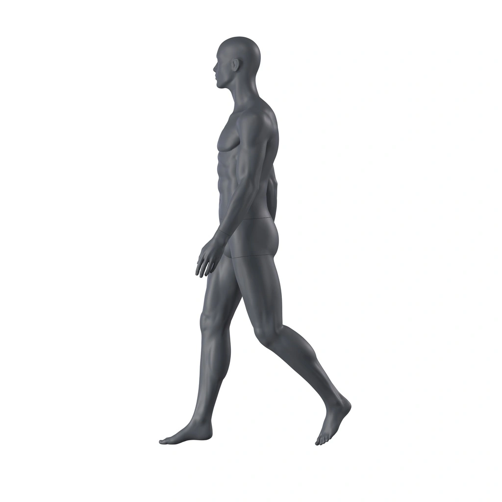 Sport heren mannequin, grafiet grijs, gestilleerd hoofd, staande pose 361