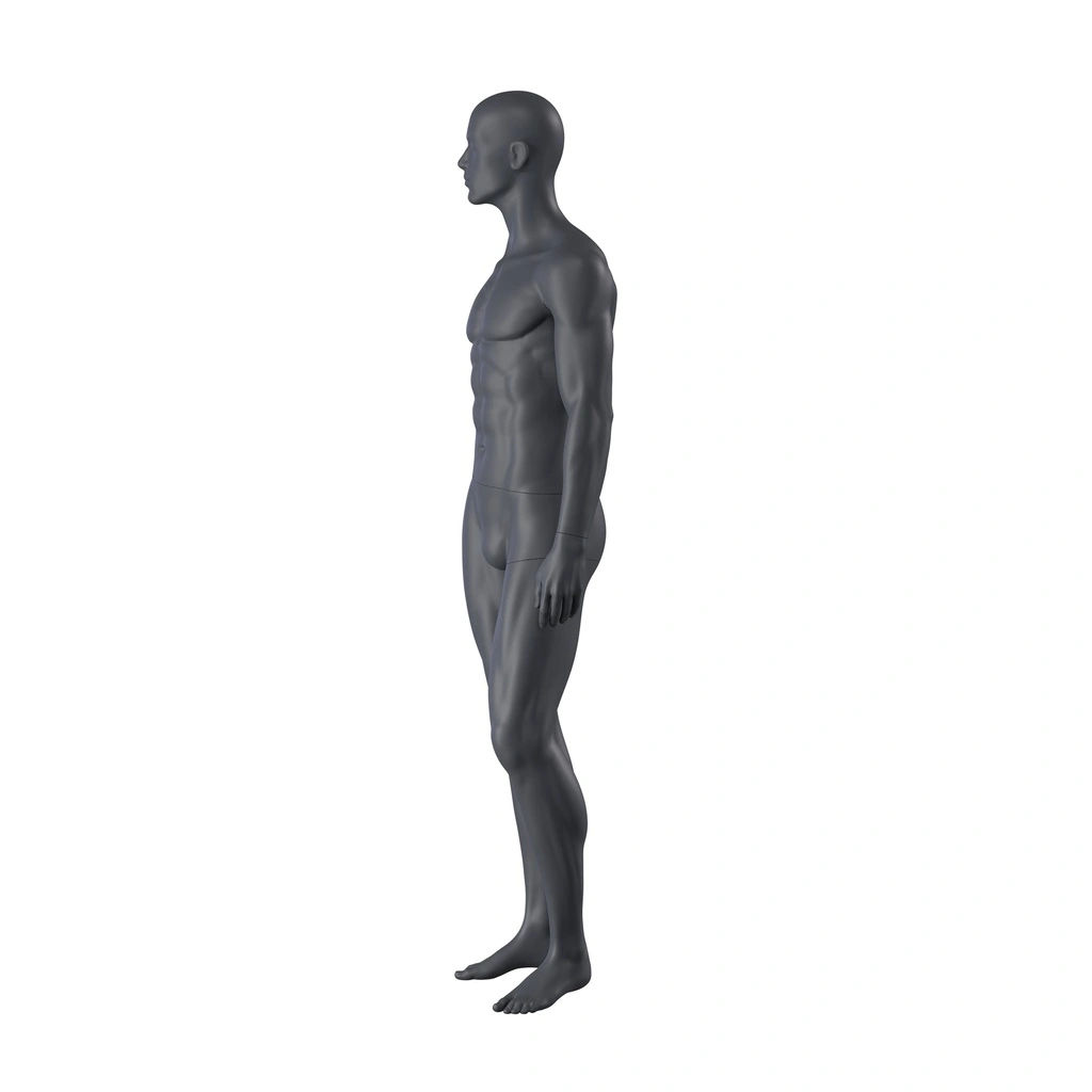 Sport heren mannequin, grafiet grijs, gestilleerd hoofd, staande pose 330 
