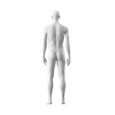 Witte heren etalagepop, abstract hoofd met neus en mond, glazen ronde voetplaat, pose 303