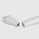 Damesbuste voor lingerie, met armen, B-cup, wit