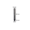 Voetpin 10 cm lang, dia 12 mm, M12, verchroomd staal