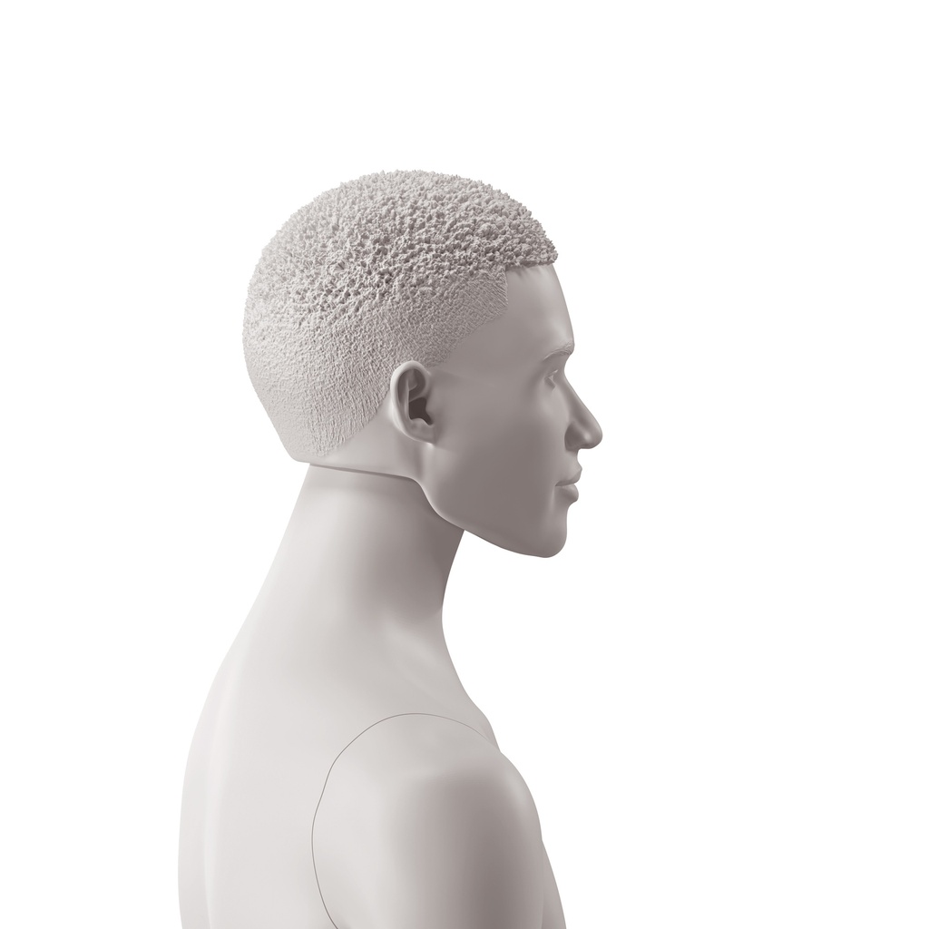 BINK - African men's head with stylised hair, light grey colour