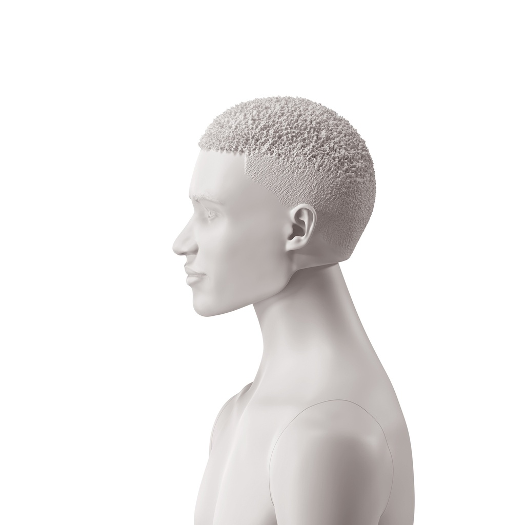 BINK - African men's head with stylised hair, light grey colour