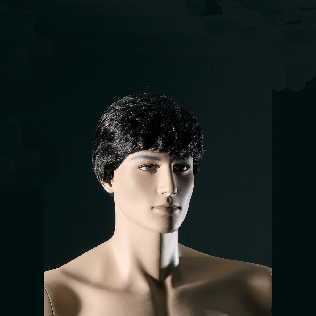 BINK - Wig for gentlemen