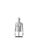 Sport bust without legs, female, grey, metal base, abstract head, pose 251
