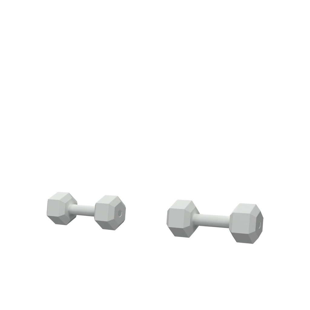 Pair of dummy dumbells, FRP, grey