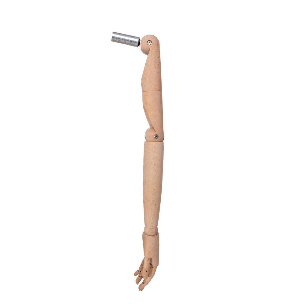 Pair of female wooden arms, natural wood
