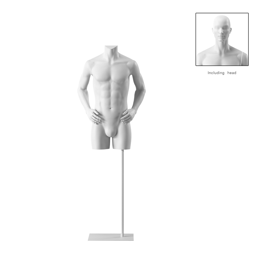BINK - Male torso, white, incl. base, Bio FRP