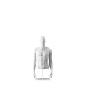 White abstract male torso, with abstract head, white powdercoated base, pose 152