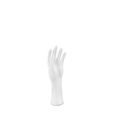 Male hand, PVC, white