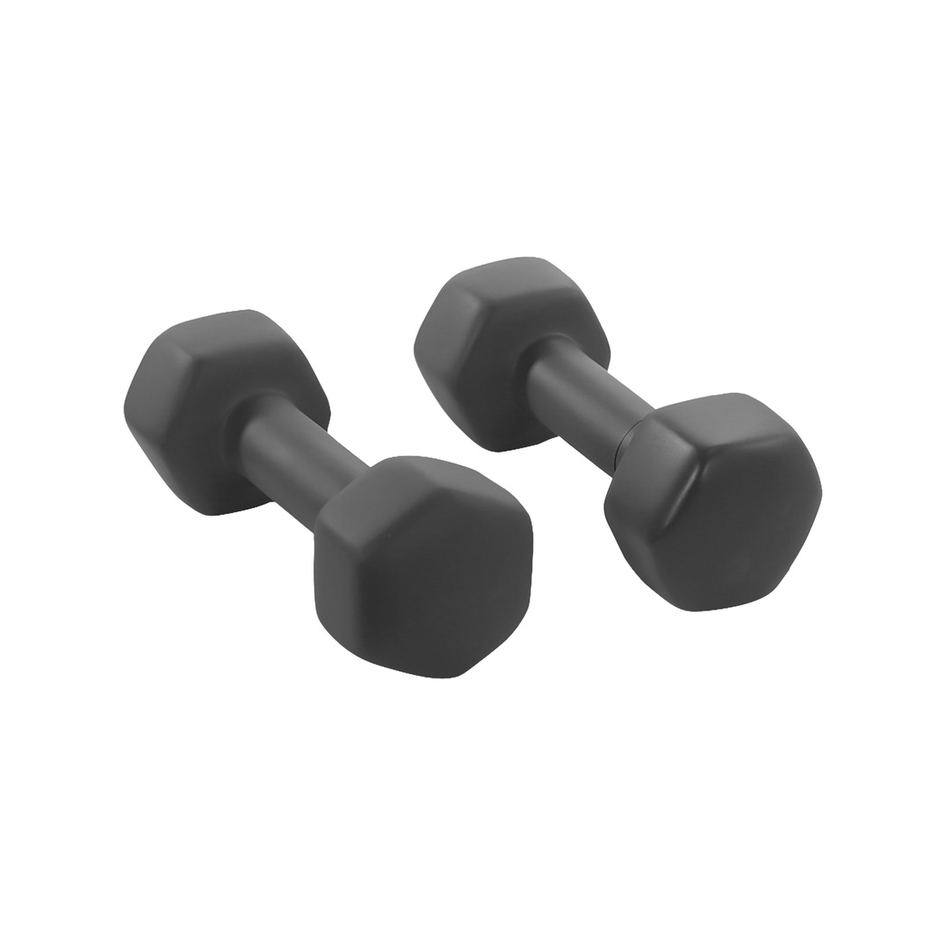 BINK - Display prop pair of fitness weights, grey