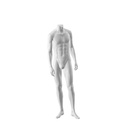 For Rent male mannequin, Urban, white mat
