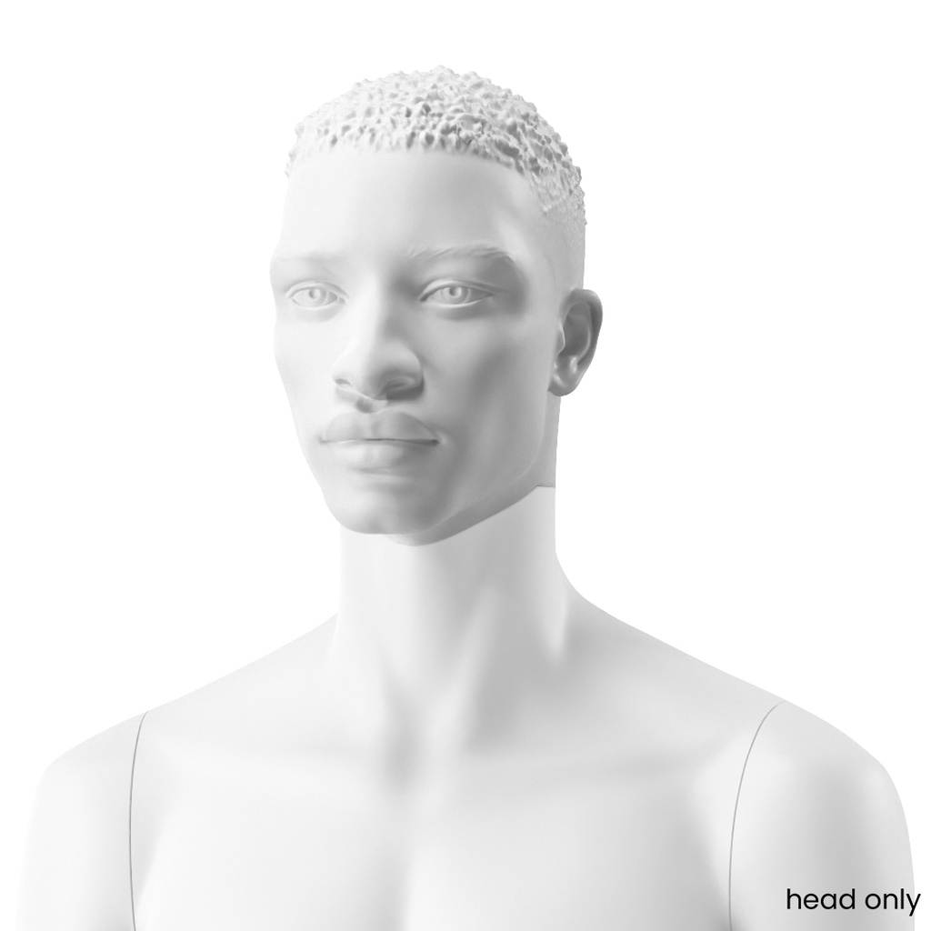 BINK - Male african sculpted head, bio resin, white mat