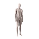 For rent, male window mannequin, Imagine