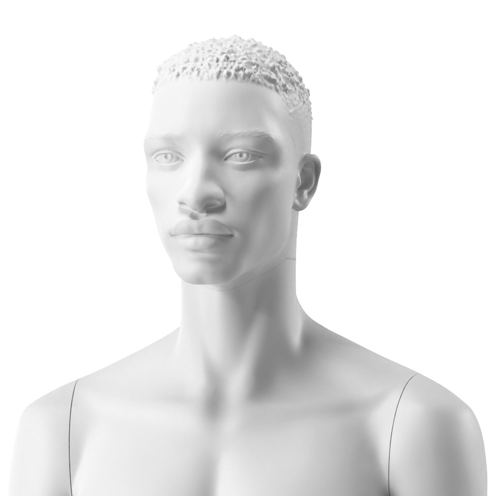 BINK - For Rent male african sculpted head, white mat