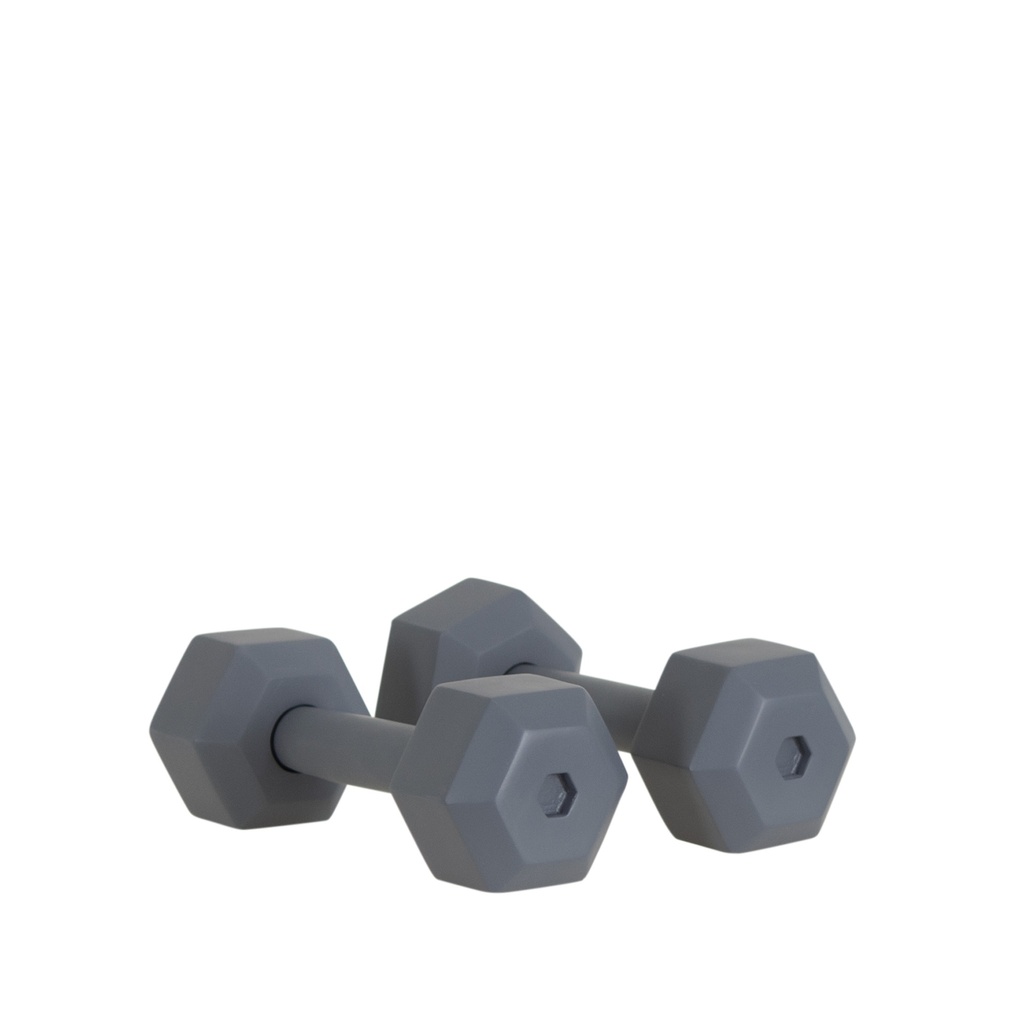 Pair of dummy dumbells, FRP, graphite grey