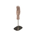 Movable right male hand on base, adjustable height, in brushed steel