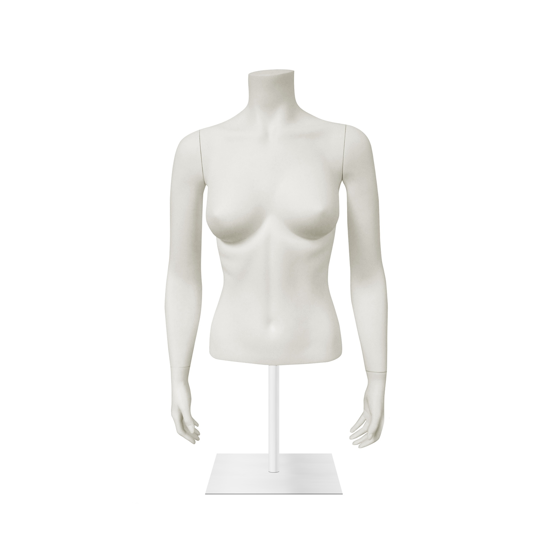 BINK - Female torso, cut underneath waist, w/ arms, white