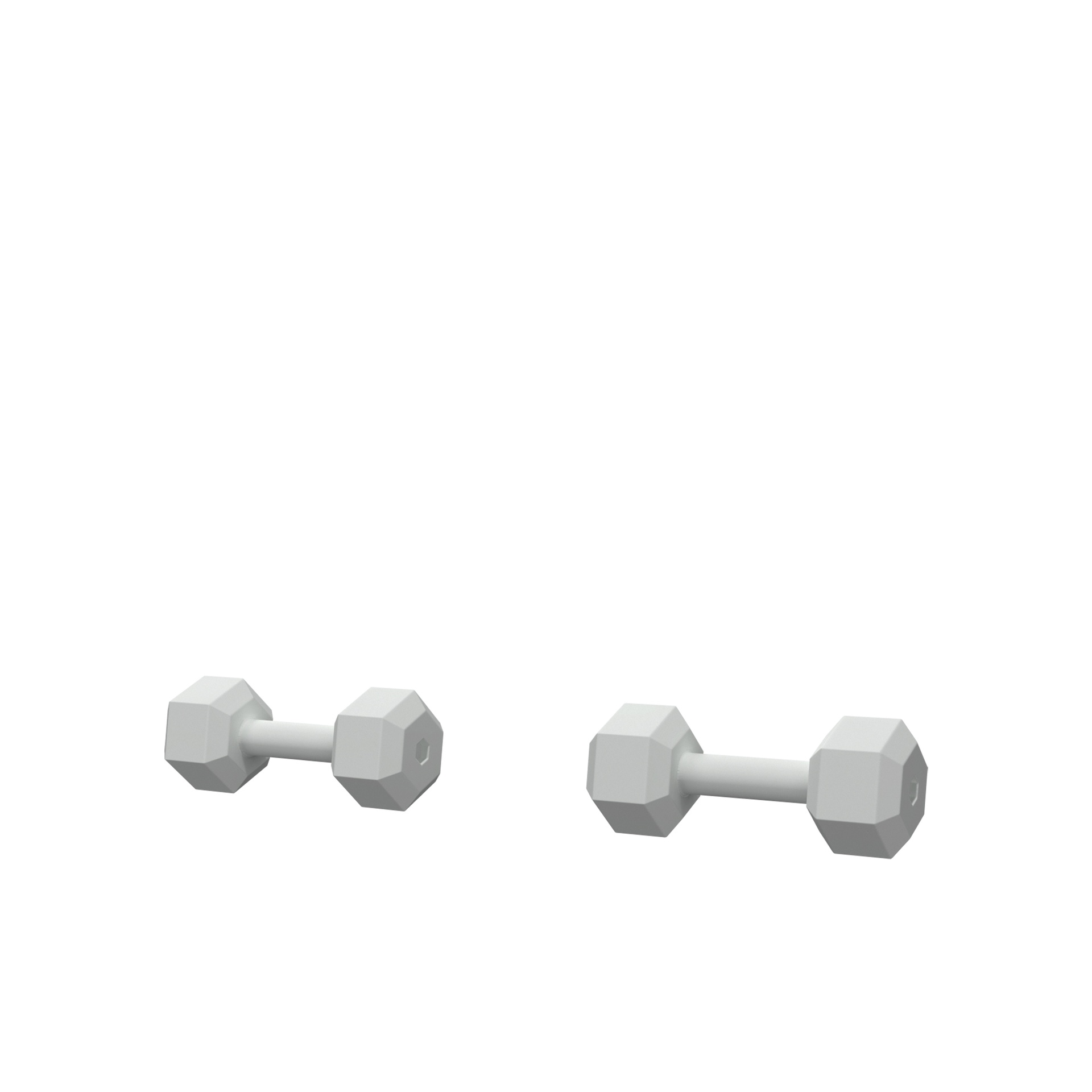 Paar dummy fitness gewichten, FRP, grijs