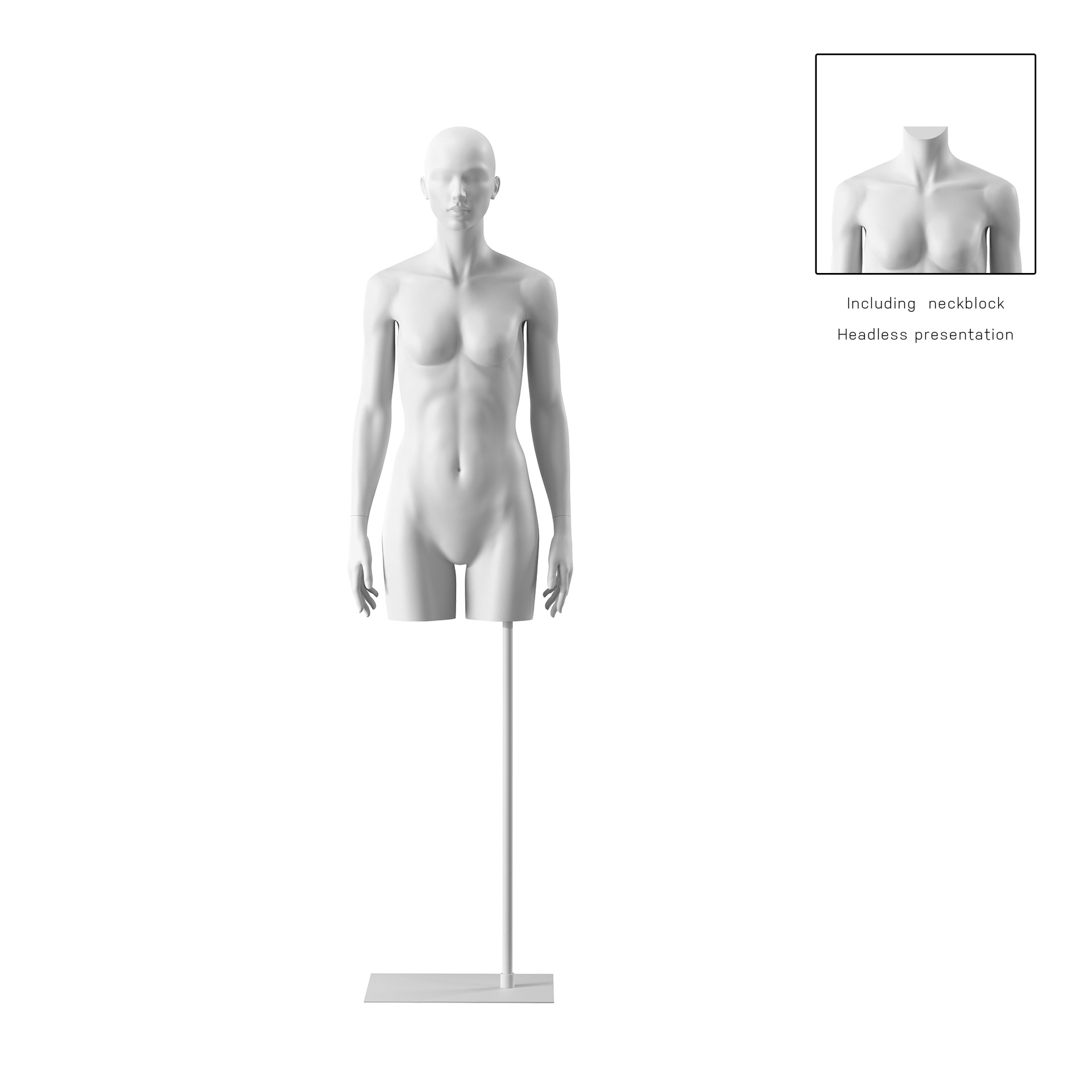 BINK - Female torso on stand, abstract head, white, pose 001