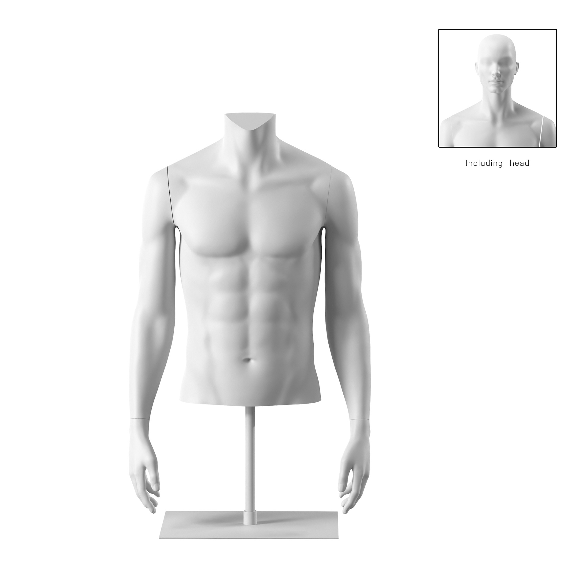 BINK - Short male torso, white, incl. base, Bio FRP