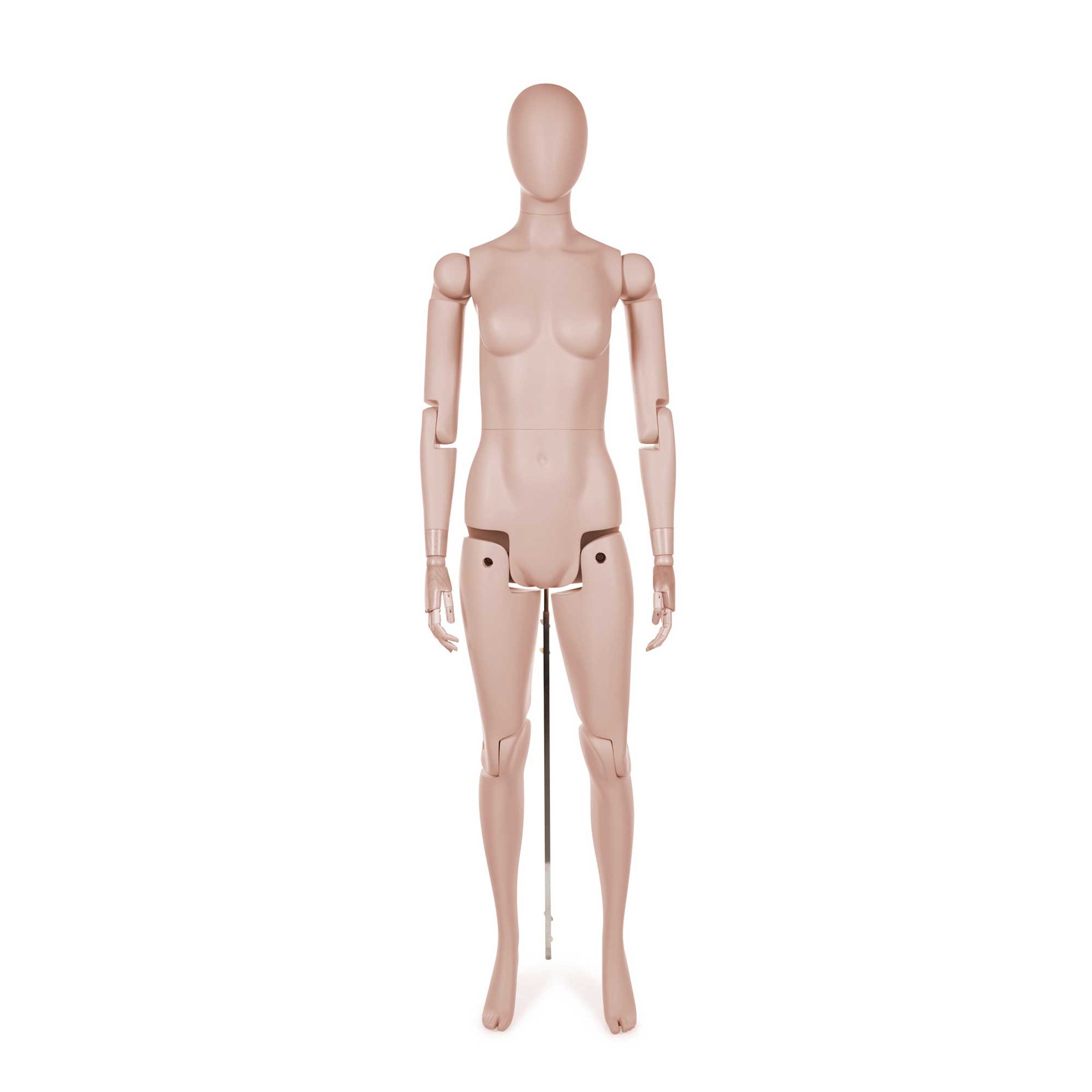 BINK - Female mannequin realistic head, fully adjustable