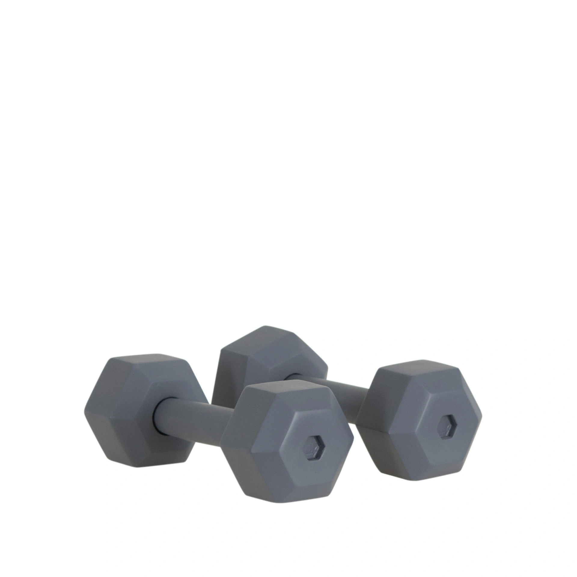 Paar dummy fitness gewichten, FRP, grafiet grijs